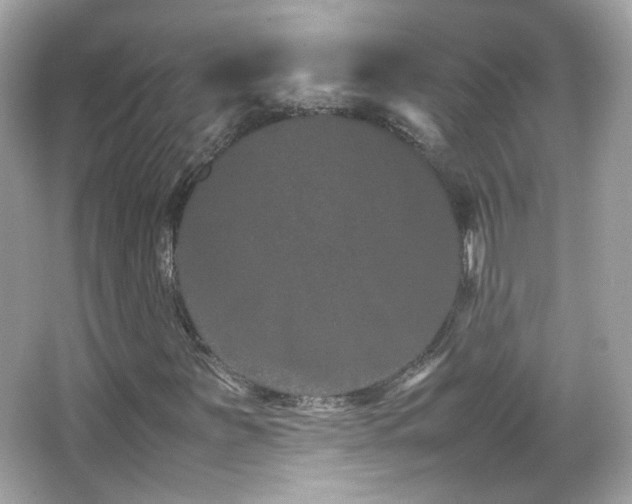 X0000066081251200603101131