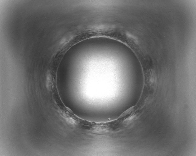 X0000066081253200603101131