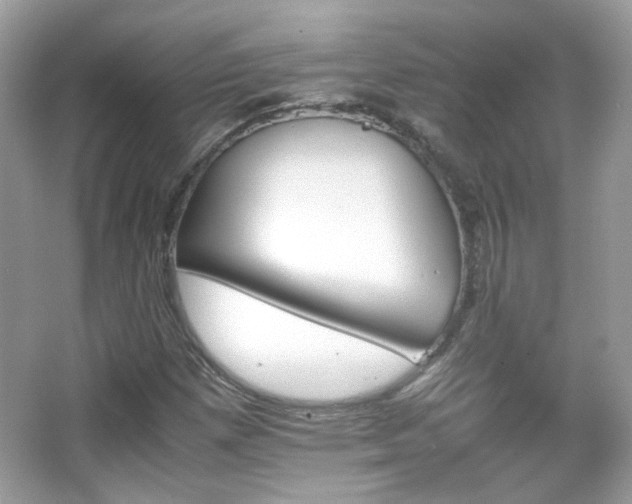X0000066081257200603101131