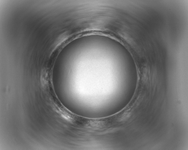 X0000066081258200603101131