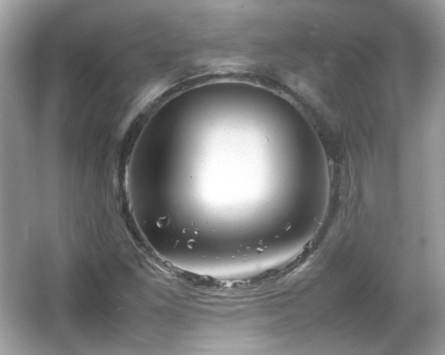 X0000066081261200603101131