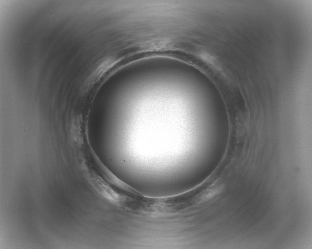 X0000066081265200603101131