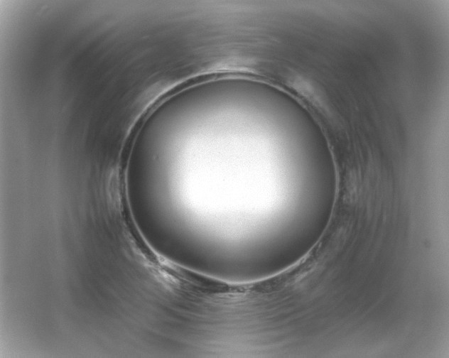 X0000066081268200603101131