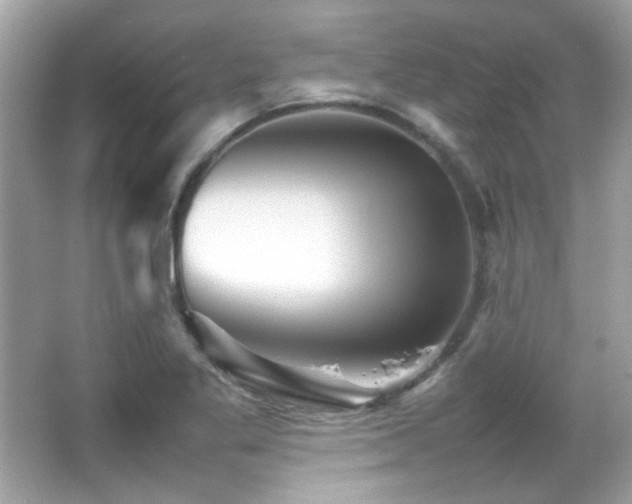 X0000066081269200603101131
