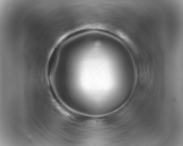 X0000066081272200603101131