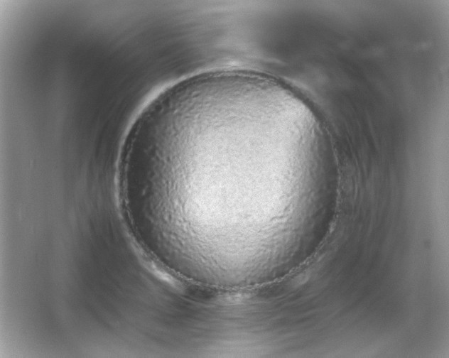 X0000066081278200603101131