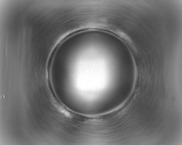 X0000066081280200603101131