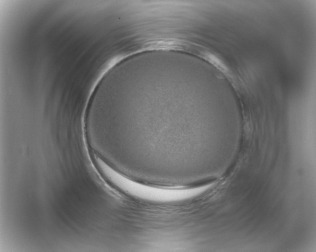 X0000066081283200603101130