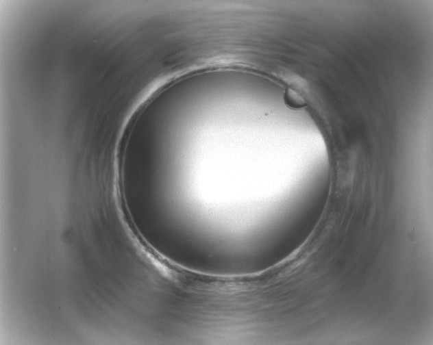 X0000066081286200603101130
