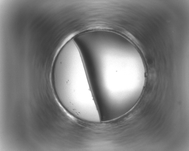 X0000066081293200603101130