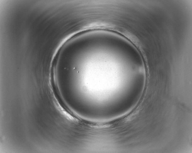 X0000066081296200603101130