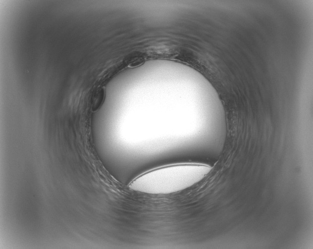 X0000066081297200603101129