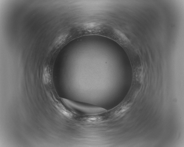 X0000066081298200603101129