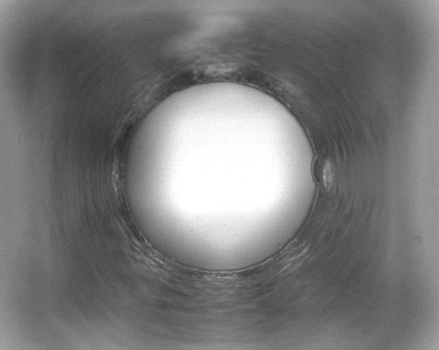 X0000066081299200603101129