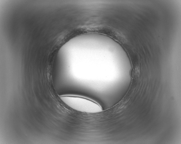 X0000066081300200603101130