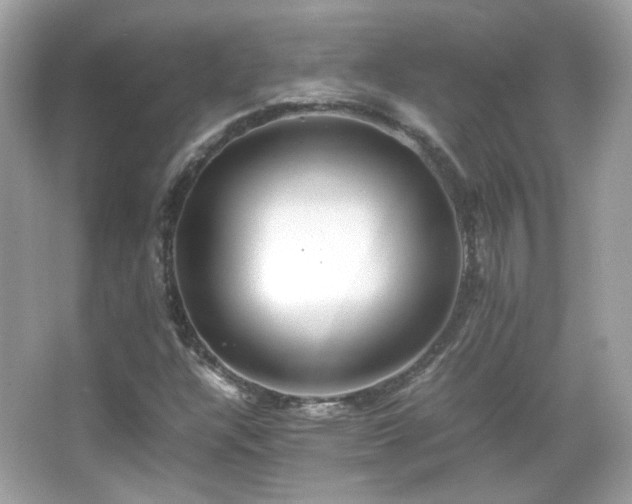 X0000066081304200603101130