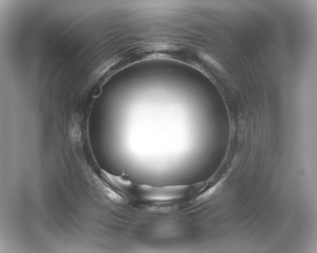 X0000066081305200603101130