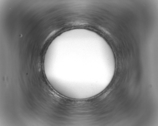 X0000066081306200603101130