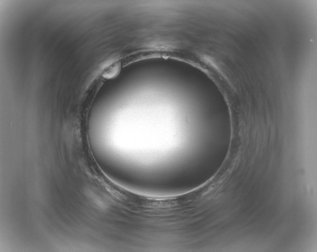 X0000066081307200603101130