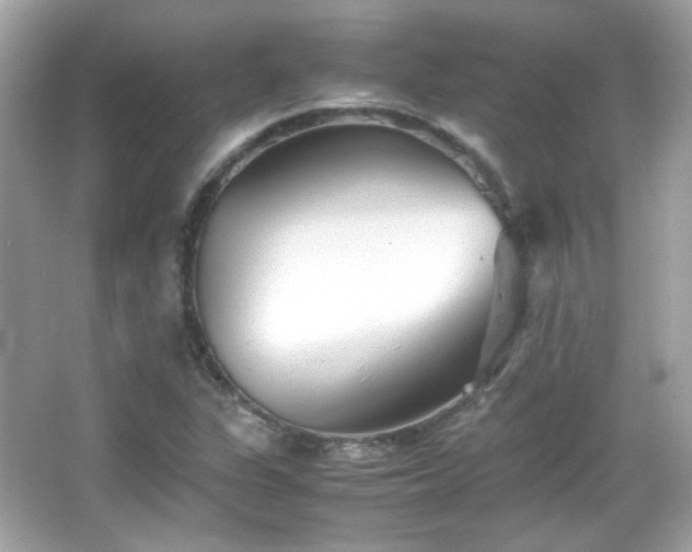 X0000066081311200603101130