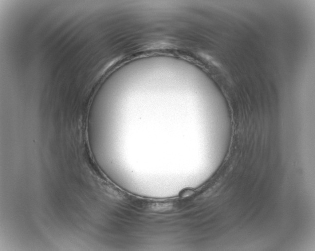 X0000066081313200603101130