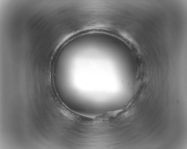 X0000066081316200603101130