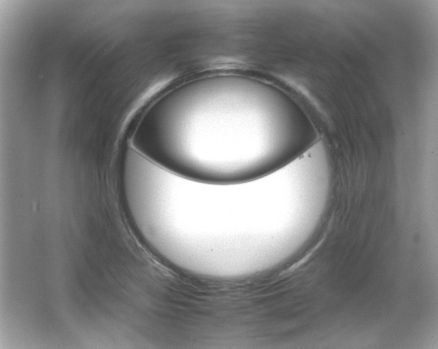 X0000066081317200603101130