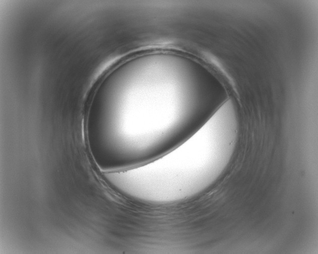 X0000066081320200603101130