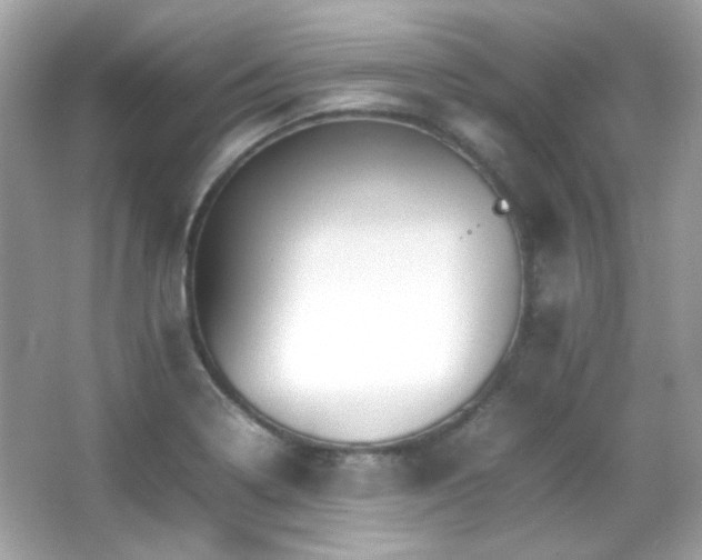 X0000066081322200603101130