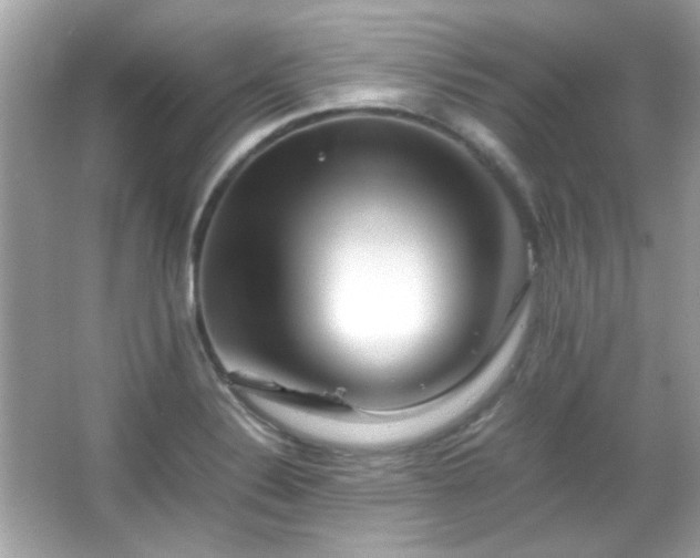 X0000066081324200603101130