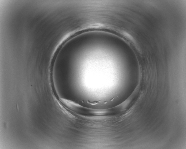 X0000066081326200603101130