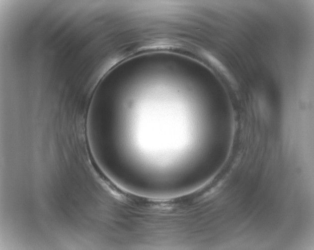 X0000066081329200603101130