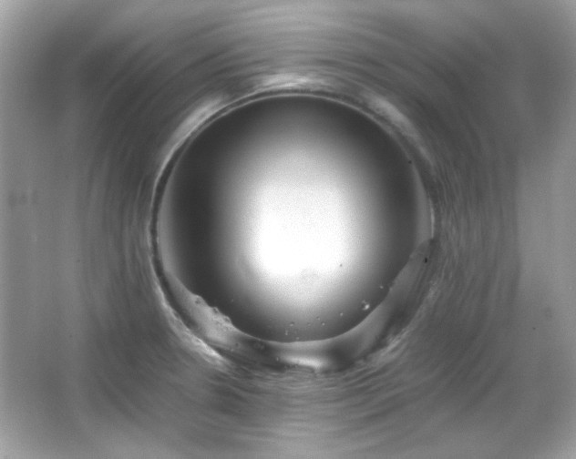 X0000066081330200603101130