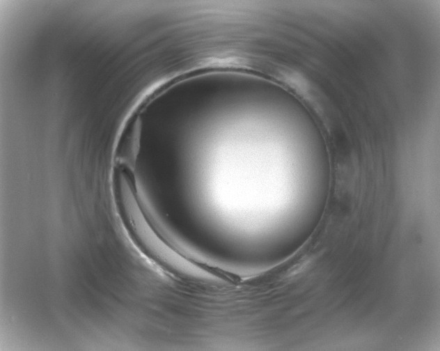 X0000066081331200603101130