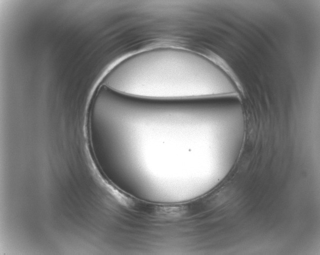 X0000066081339200603101130
