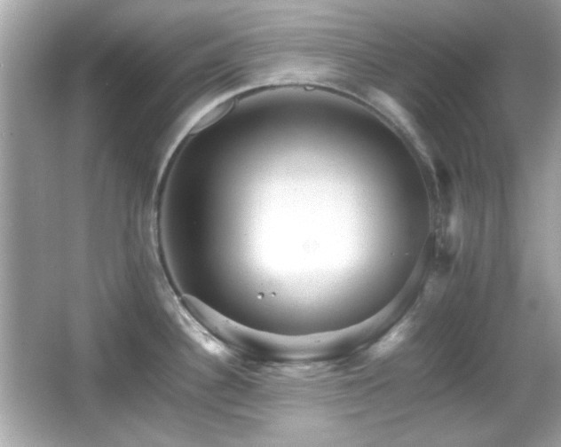 X0000066081340200603101130