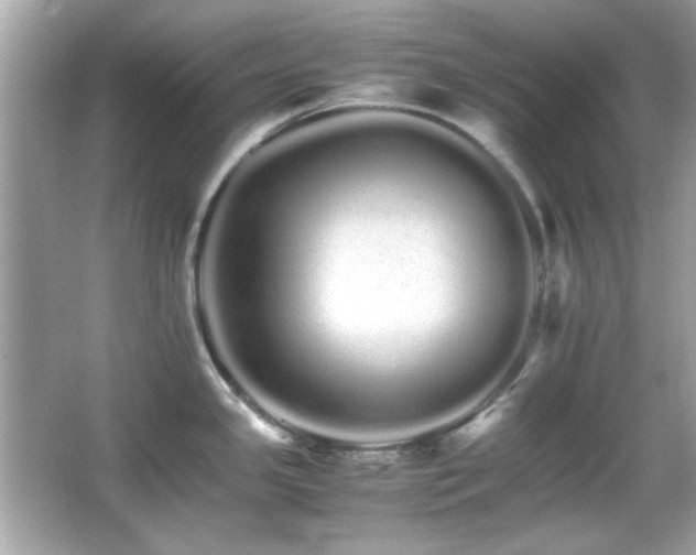 X0000066081341200603101130