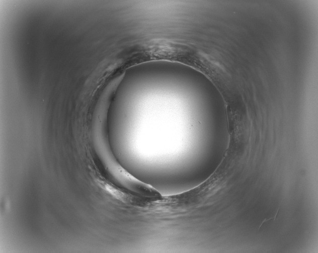 X0000066081345200603101129