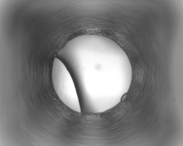 X0000066081346200603101129