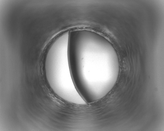 X0000066081352200603101129