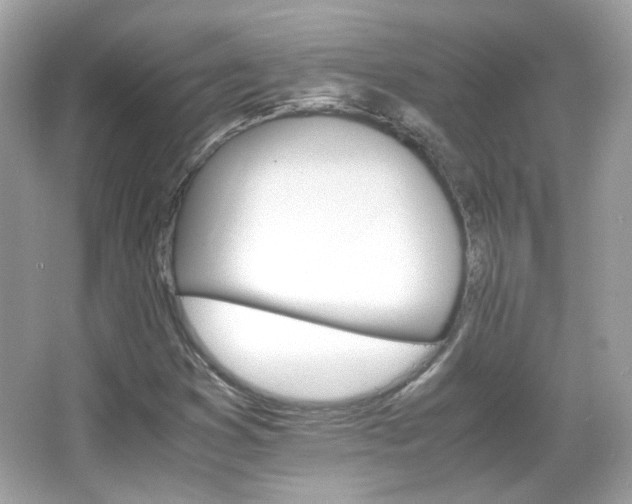 X0000066081353200603101129