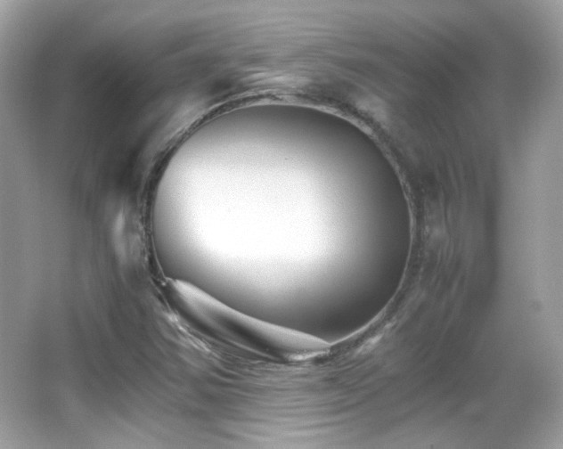 X0000066081354200603101129