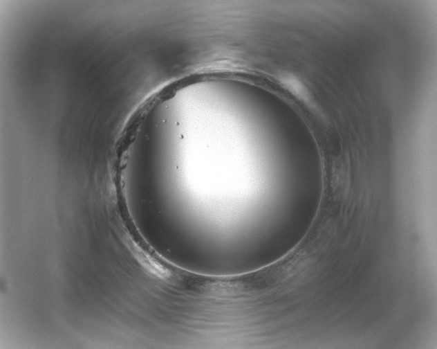 X0000066081356200603101129