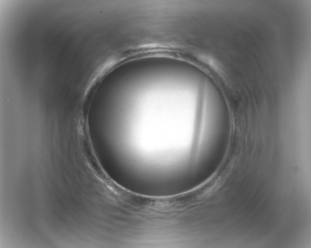 X0000066081357200603101129