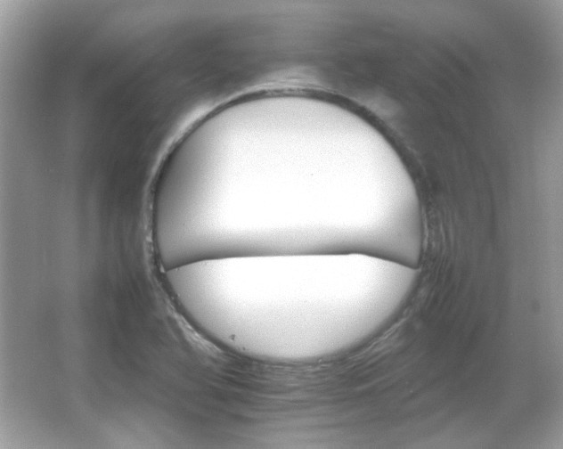 X0000066081366200603101129