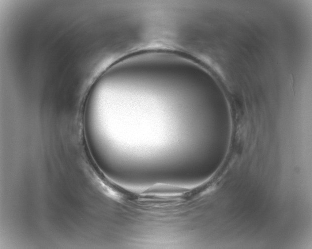 X0000066081367200603101129