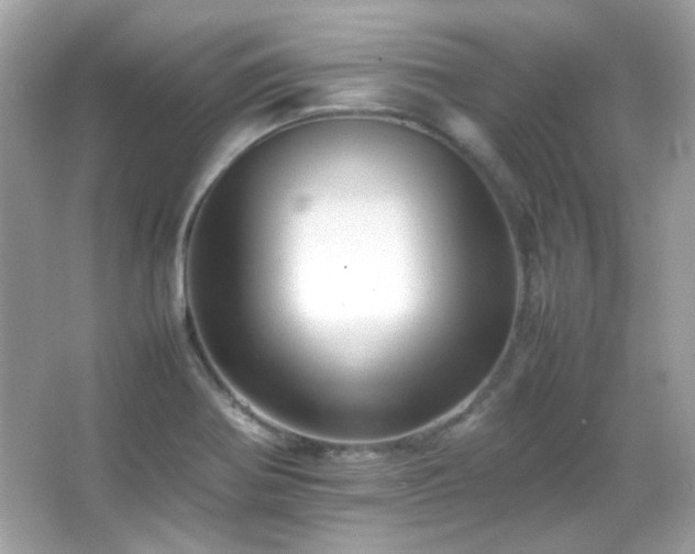 X0000066081370200603101129