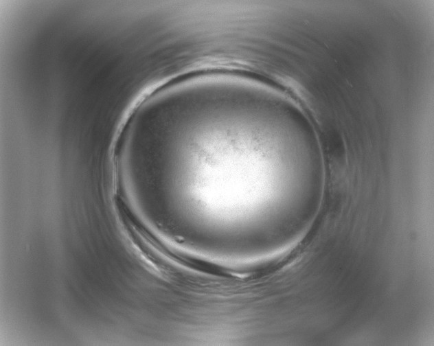 X0000066081371200603101129