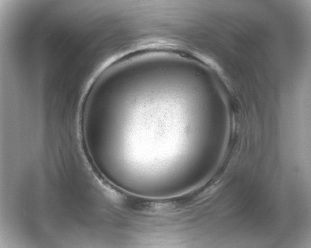 X0000066081375200603101129
