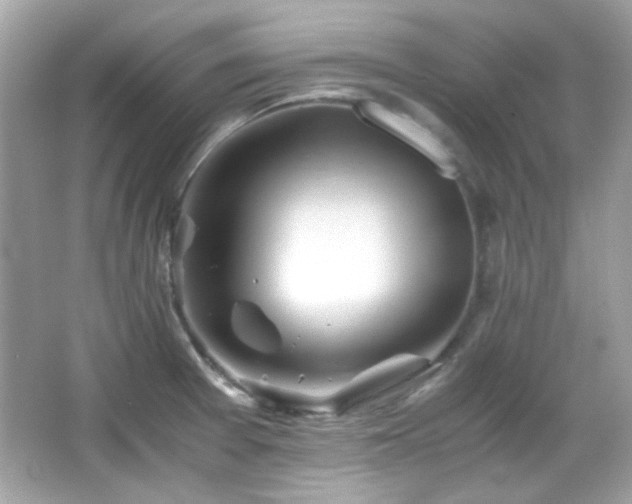 X0000066081377200603101129